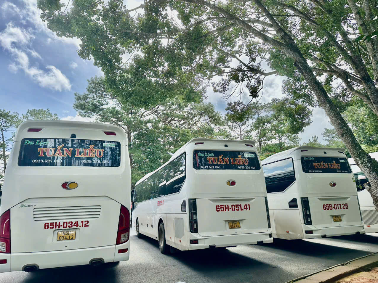 đội xe 34 chỗ